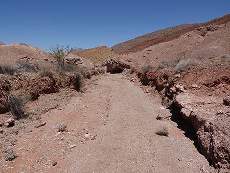 Cottonwood Wash