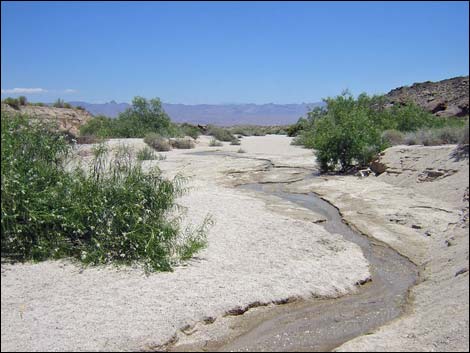 Grapevine Canyon