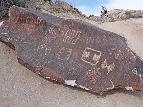 Grapevine Canyon Petroglyphs