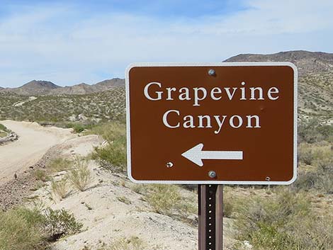 Grapevine Canyon Petroglyphs