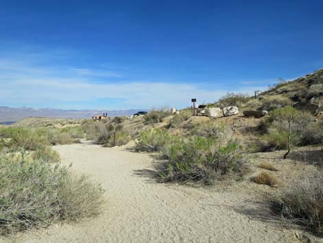 Grapevine Canyon