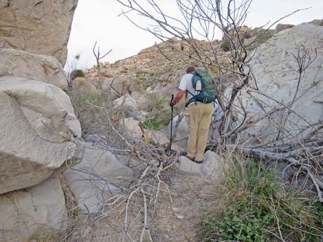 Grapevine Canyon