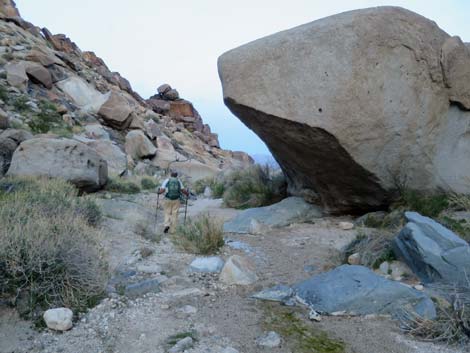 Grapevine Canyon