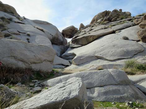 Grapevine Canyon