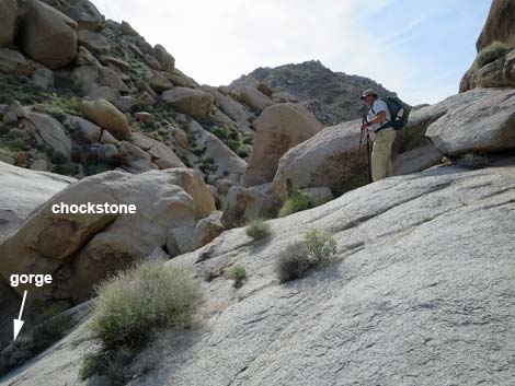 Grapevine Canyon