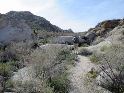 Grapevine Canyon