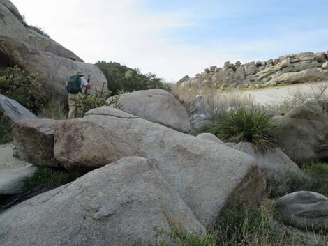 Grapevine Canyon