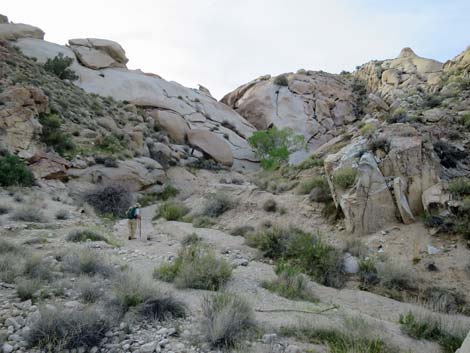 Grapevine Canyon