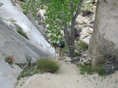 Grapevine Canyon