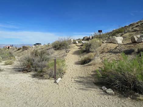 Grapevine Canyon