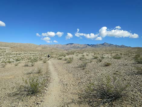 Hot Spring Canyon