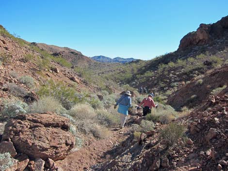 Many Falls Canyon