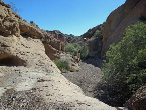 Natural Bridge