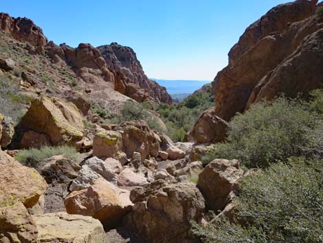 Natural Bridge