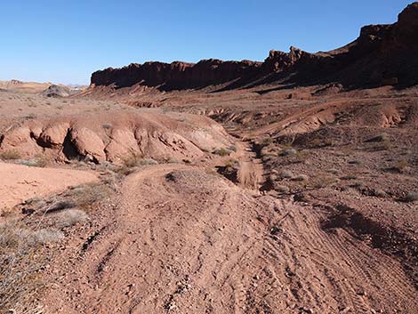 Red Needle Trail