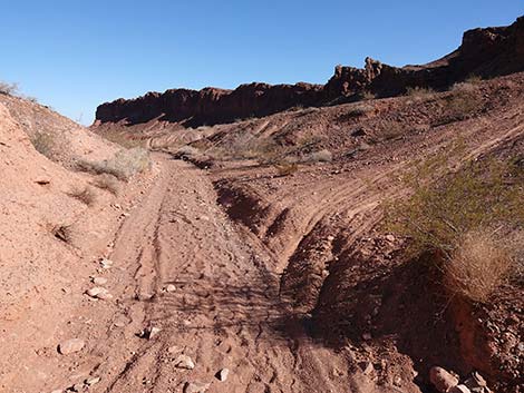 Red Needle Trail