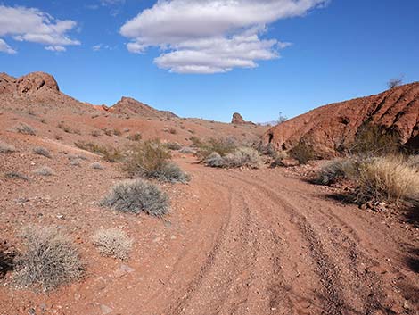 Red Needle Trail