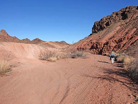 Red Needle Trail