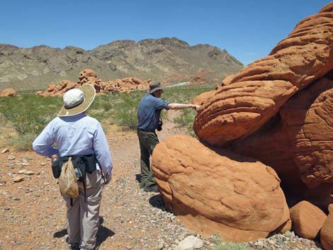 Redstone Dune Loop Trail