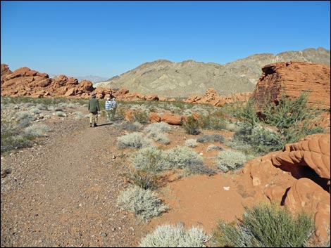 Redstone Dune Trail