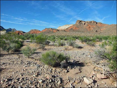 Bitter Springs Byway