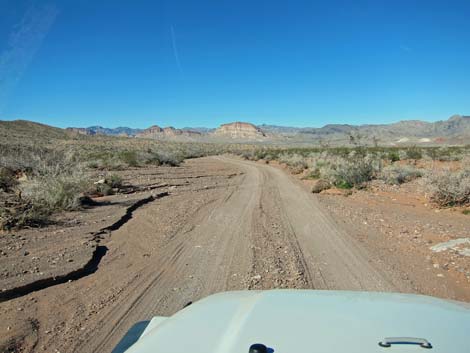 Bitterspring Road