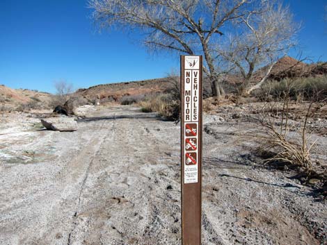 Bittersprings Road