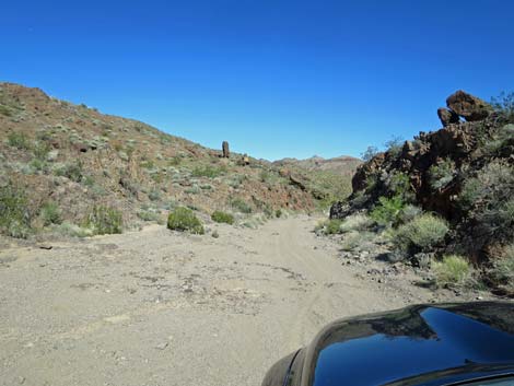 Boy Scout Canyon Road