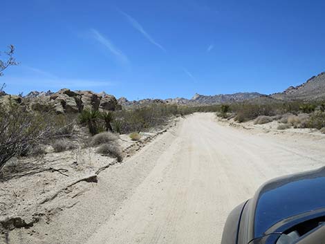 Christmas Tree Pass Road