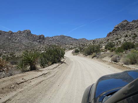 Christmas Tree Pass Road