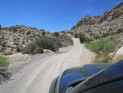 Christmas Tree Pass Road