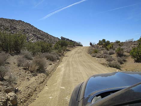 Christmas Tree Pass Road