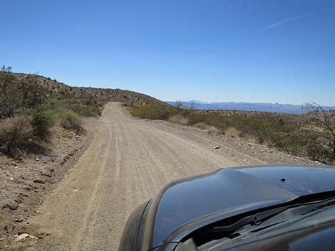 Christmas Tree Pass Road