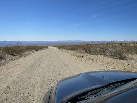 Christmas Tree Pass Road