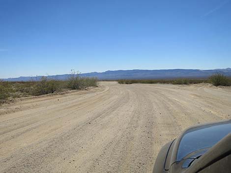 Christmas Tree Pass Road