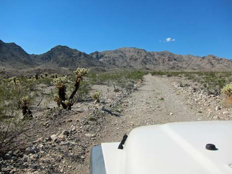 Camp Dupont Mine Road