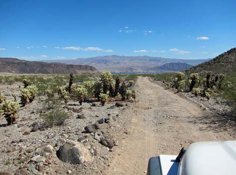 Opal Mountain Road