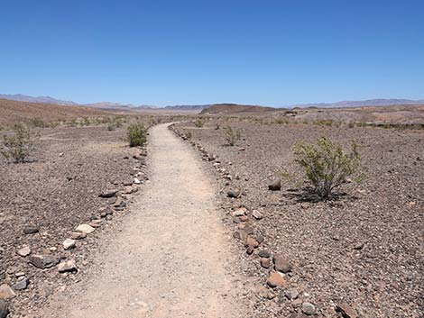 Wetlands Trail