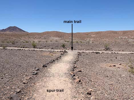 Wetlands Trail