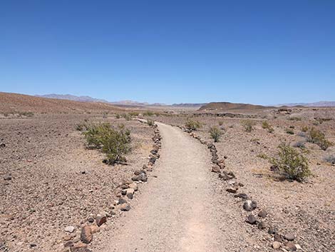 Wetlands Trail