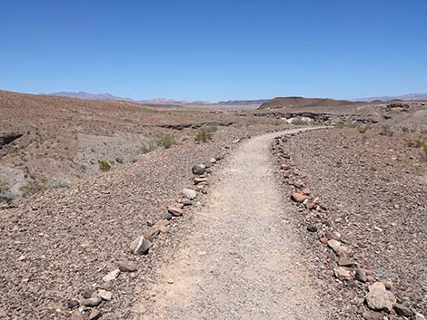 Wetlands Trail