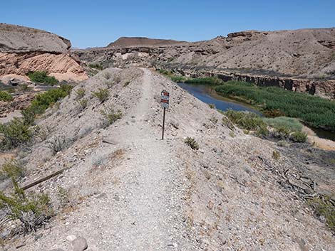 Wetlands Trail