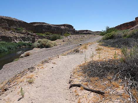 Wetlands Trail