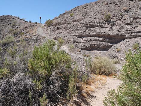 Wetlands Trail