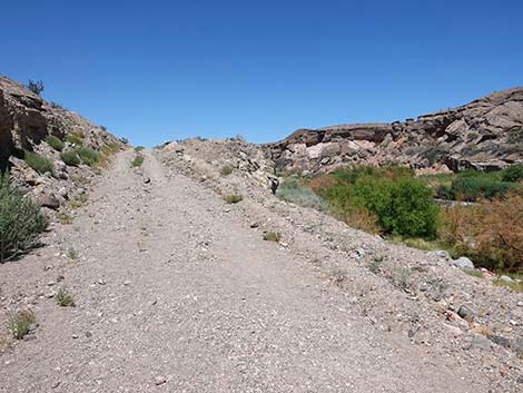 Wetlands Trail