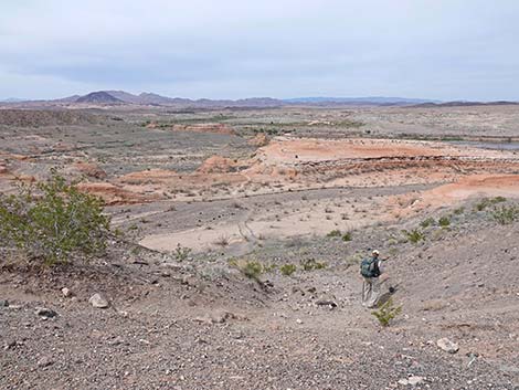 White Owl Canyon