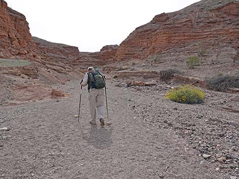 White Owl Canyon