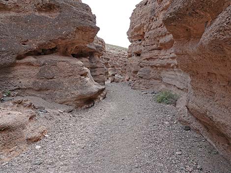 White Owl Canyon