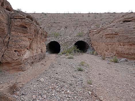 White Owl Canyon