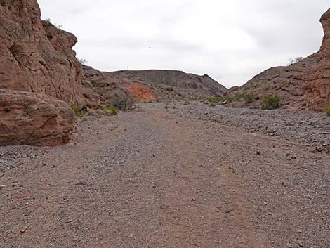 White Owl Canyon